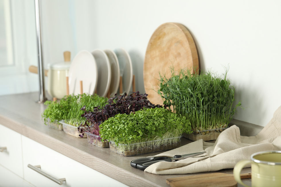 iStock-1850465801.jpg