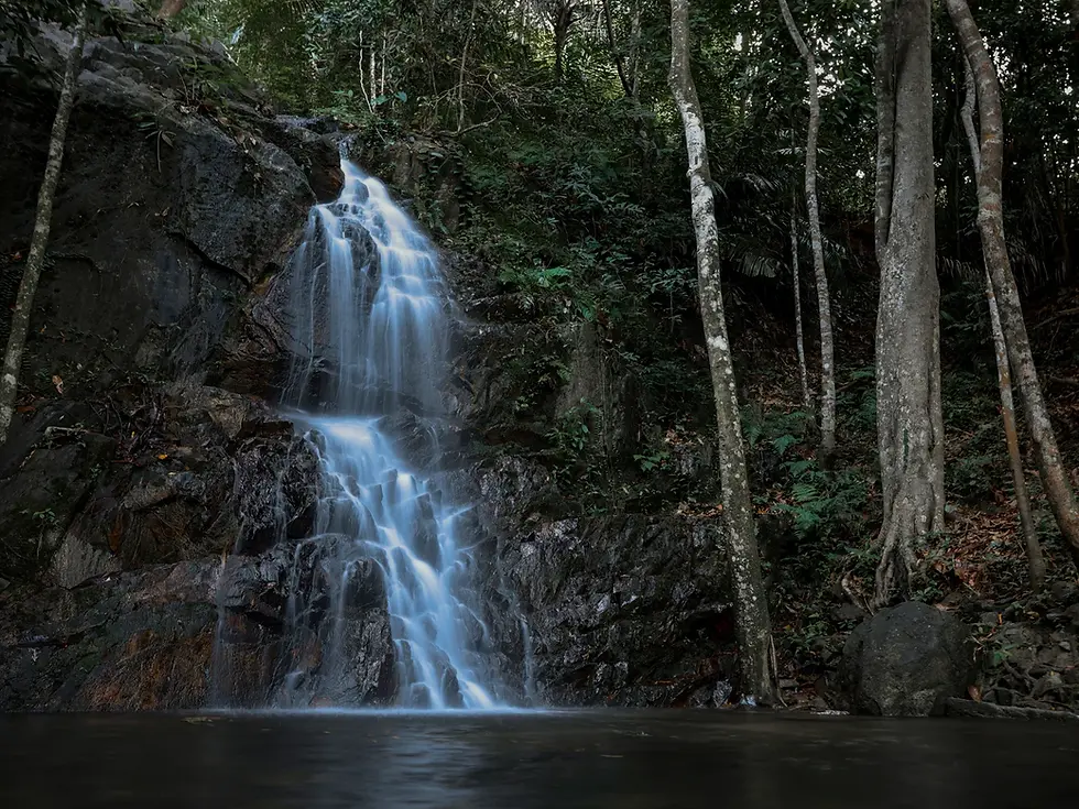 Best Nature Attractions in Bintan Island