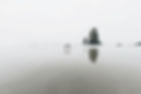 Reflection