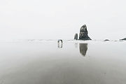 Reflection
