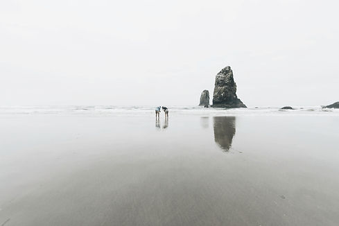 Beach Rock Seascape
