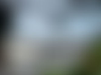 Day 8 - 22.5km - Sabaris to Vigo