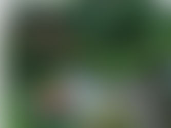 aménager son extérieur !