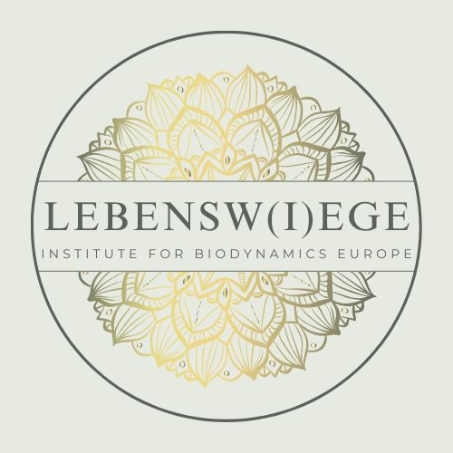 Logo der Lebenwiege in Kirchhatten