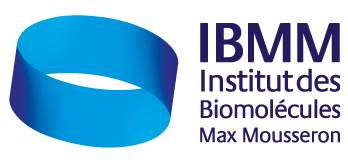 IBMM