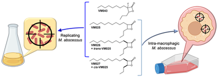 RSC Med Chem (2025) https://doi.org/10.1039/D5MD00102A