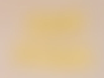 Invoering van de maatschappelijke BV voor sociale ondernemingen