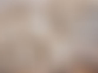 Optimaliseer je algemene voorwaarden