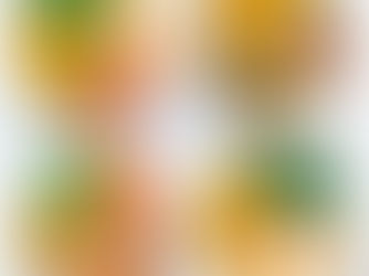 Como fazer uma Dieta Saudável ?