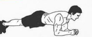 5 exercícios básicos para um abdômen forte