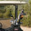 Thumbnail: Quail