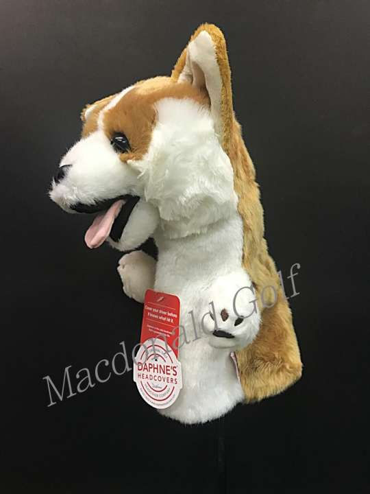 Thumbnail: Corgi