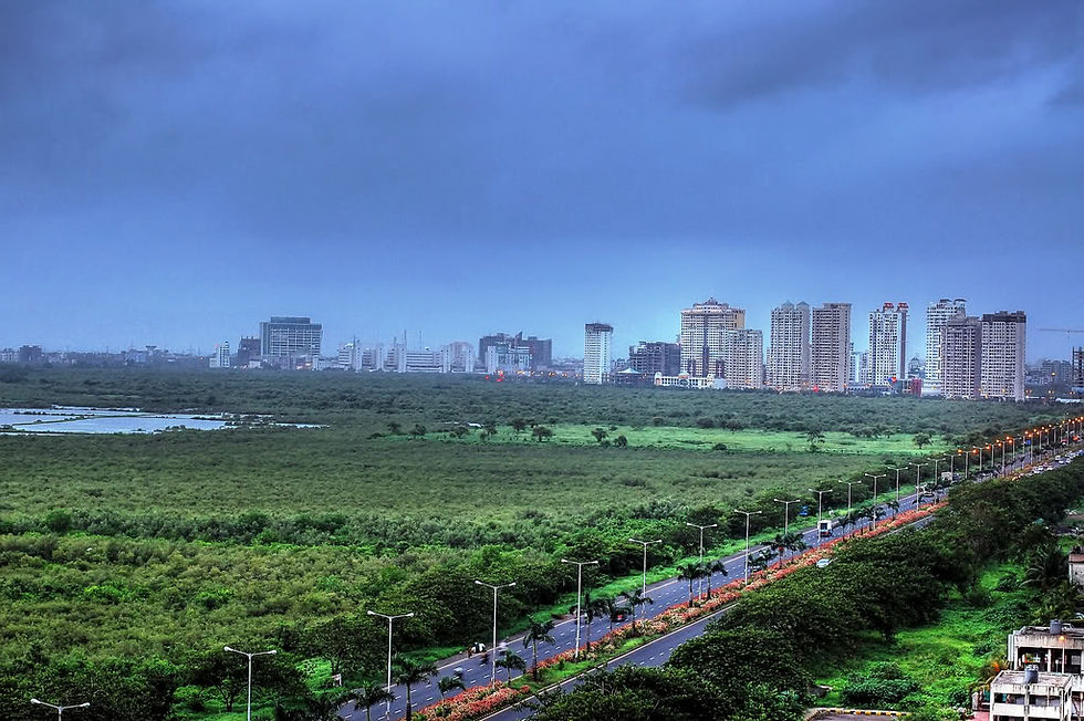 Palm Beach Marg