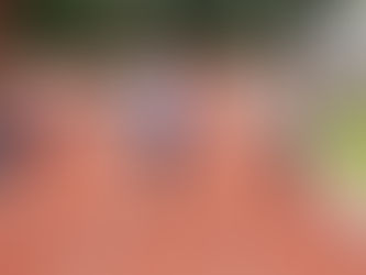 Welsh Junior Championships