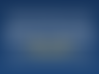 Councillor Allowances Statement 2024–2025