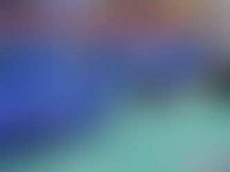 Welsh Indoor Championships