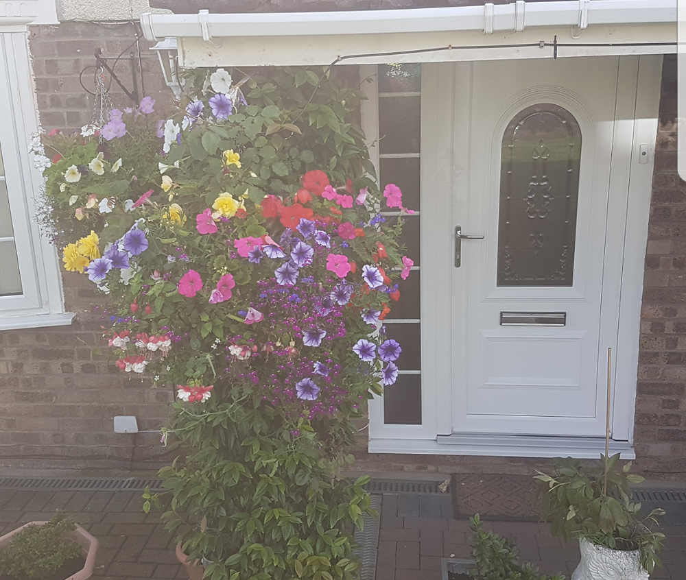 Hanging basket image