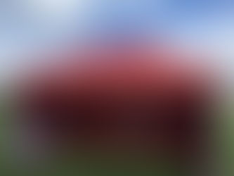 National Representation for Newport Harriers Athletes