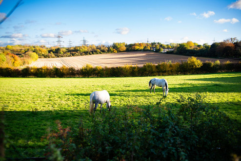 houses for sale Stevenage