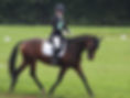 170929 Dressage