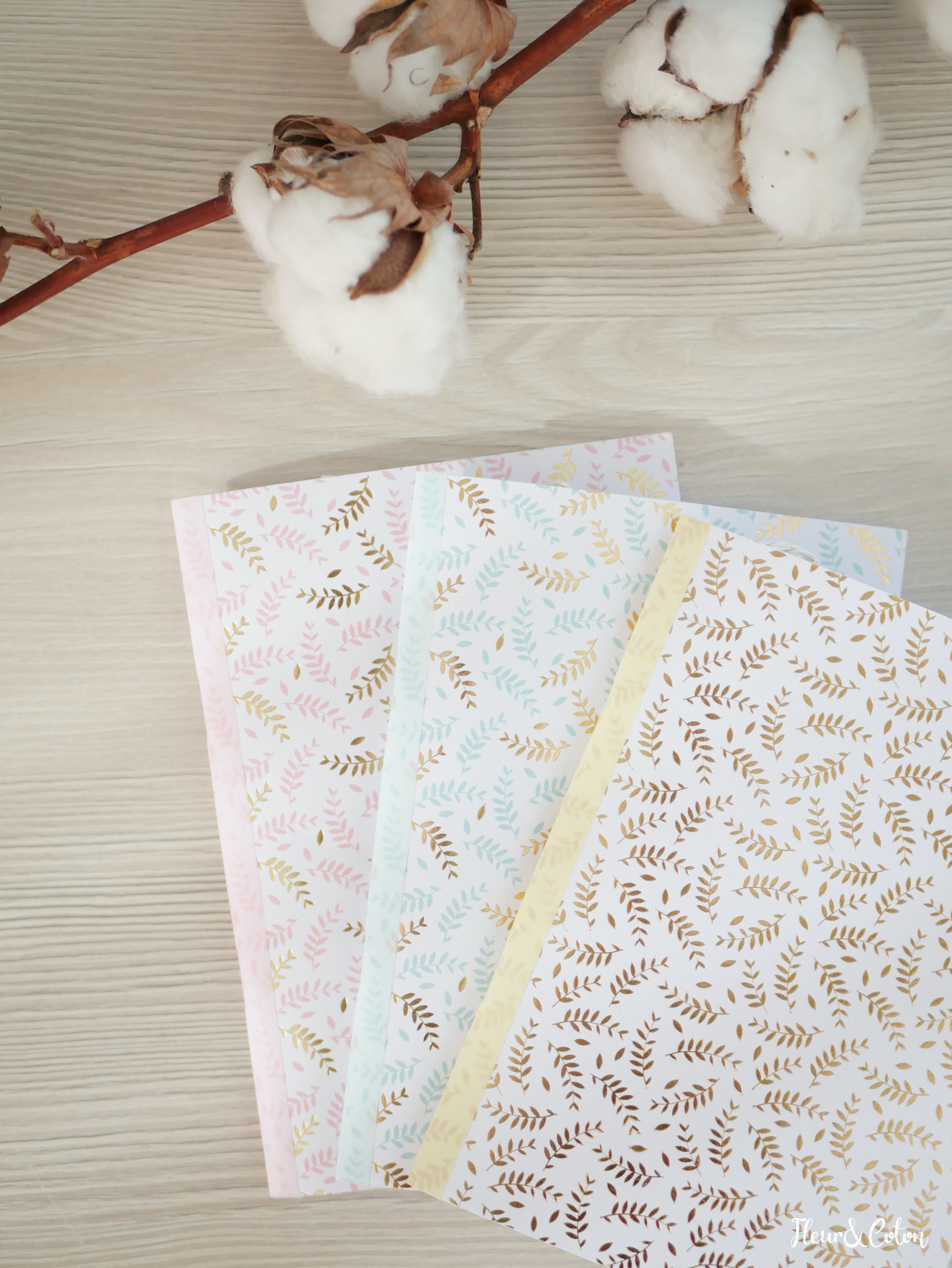 Carnet Nourrisson - Épi d'or