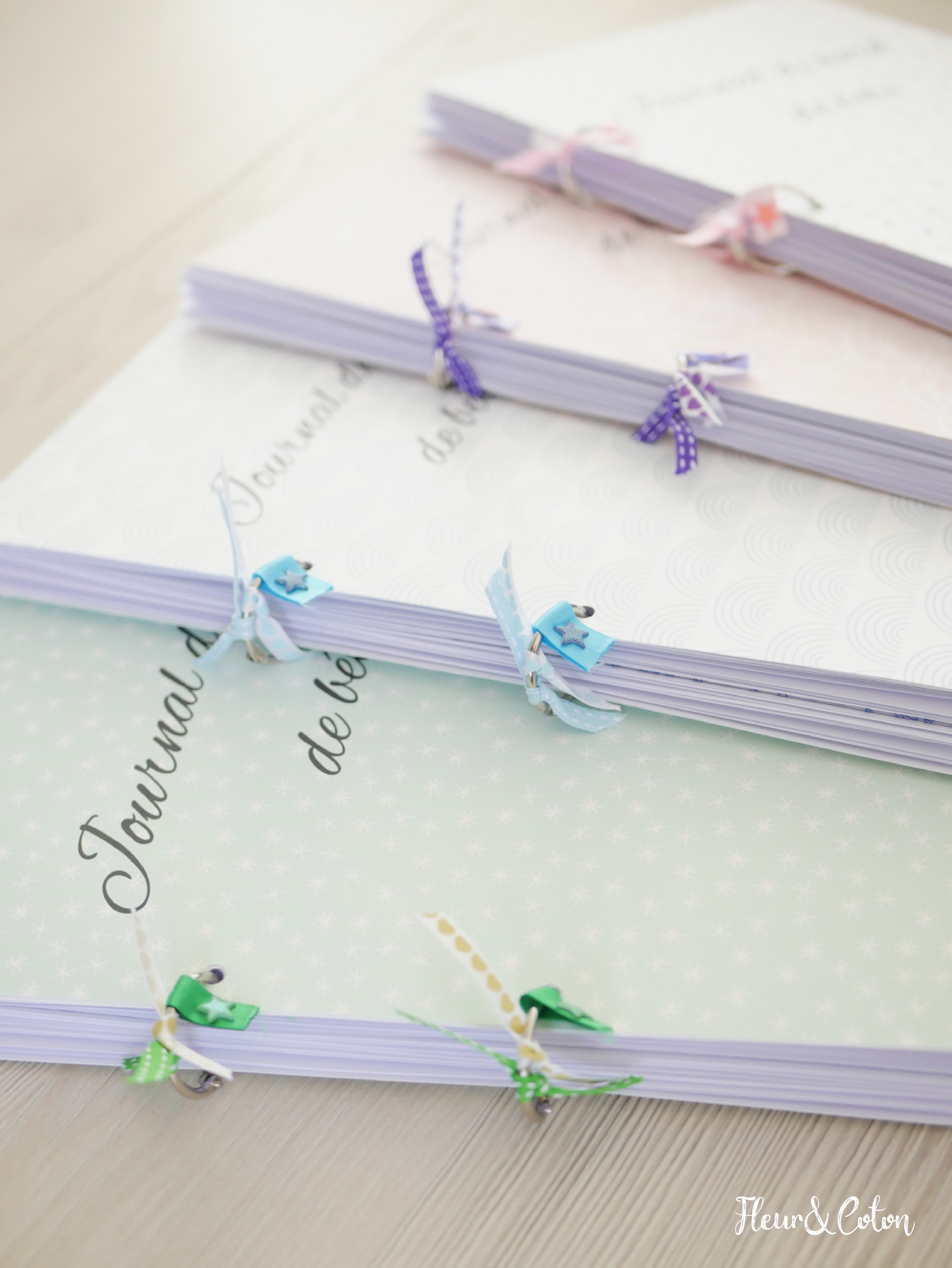 Journaux de bord3