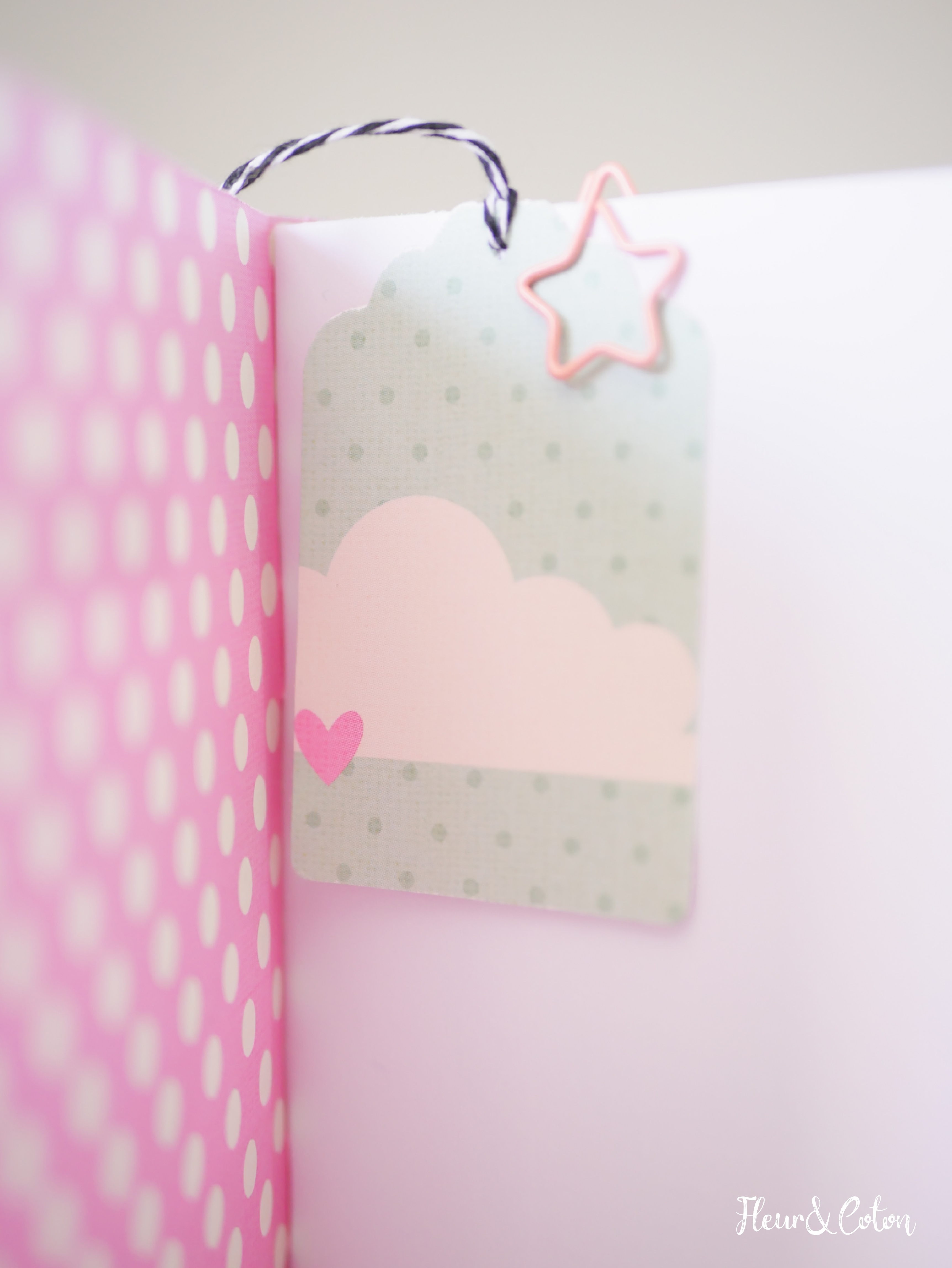 Carnet_de_notes_Mes_jolies_rêveries9
