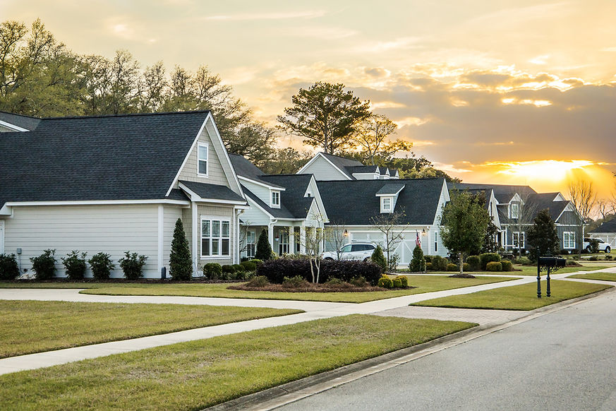 Termite Home Inspection Banner.jpg