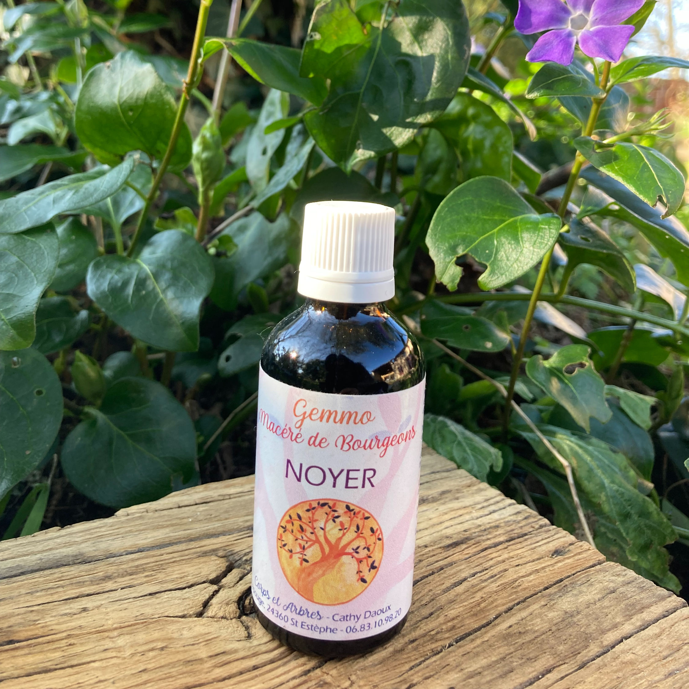 Gemmothérapie Noyer