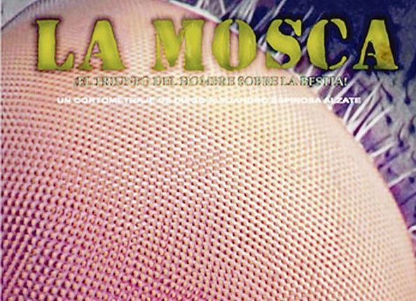 LA MOSCA