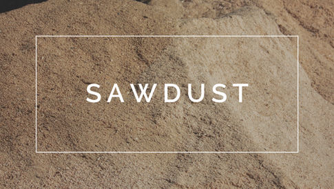 sawdust.jpeg