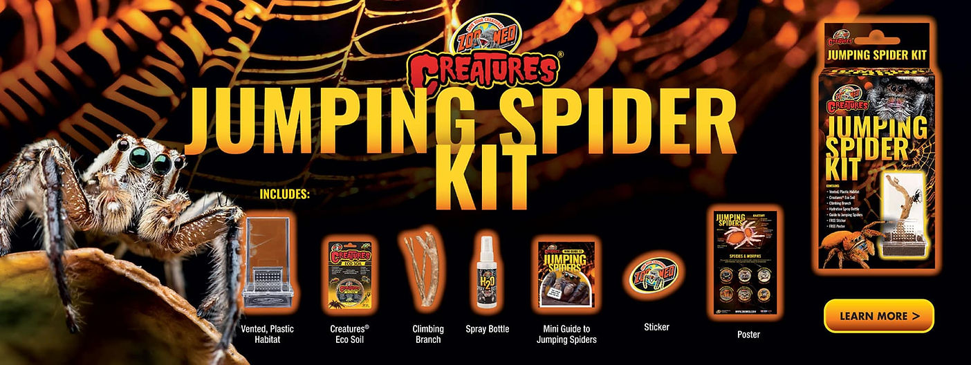 CT-JSK_Jumping-Spider-Kit_home-web.jpg