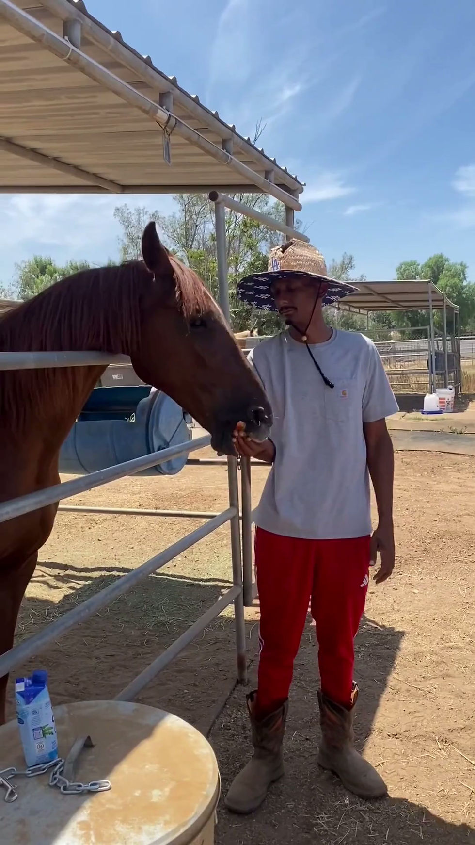 Revised Ranch Day Video_Short.mp4