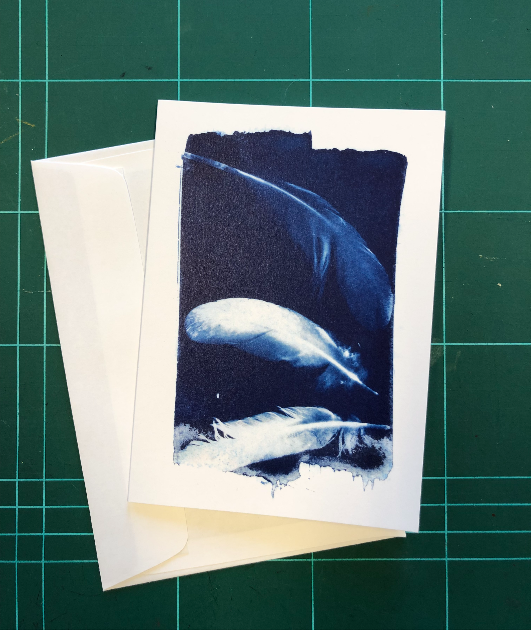 Carte double "plumes"