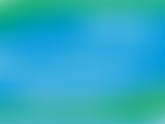 QUAL É O OBJETIVO DO P.P.R.A?