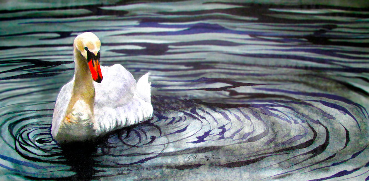 White swan gliding gracefully on calm water, serene nature scene
