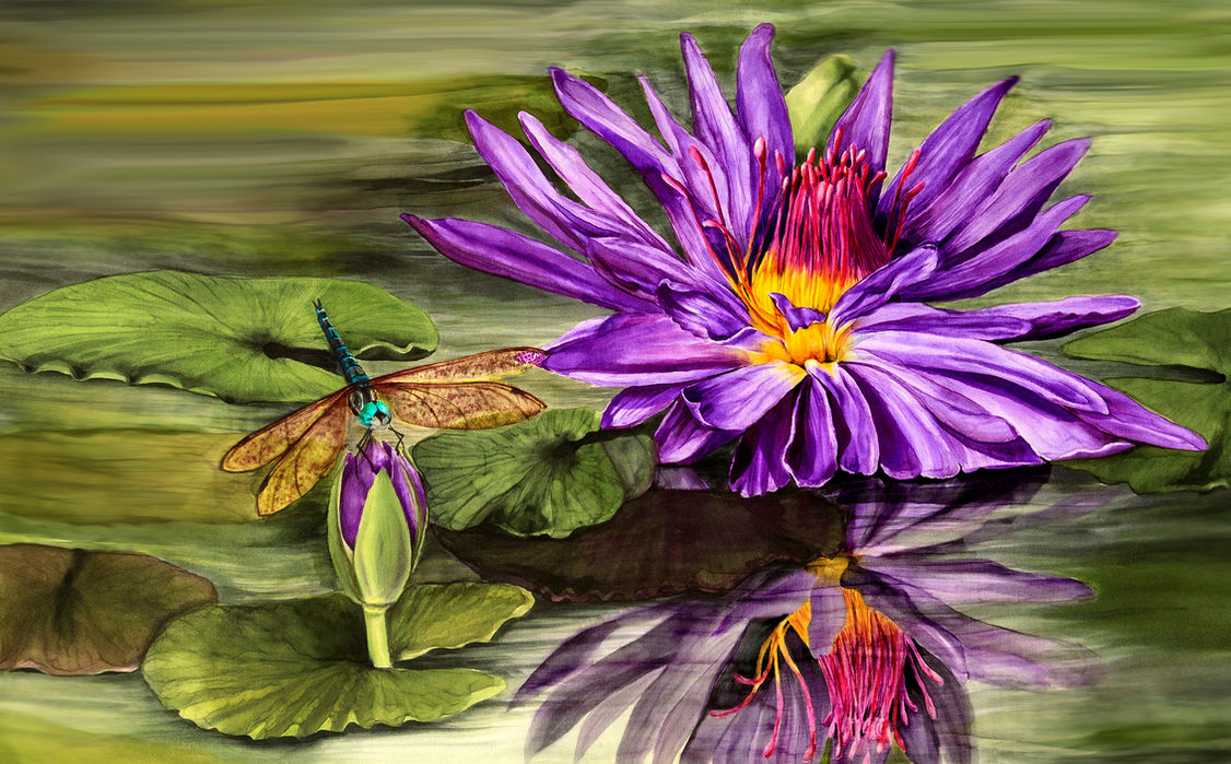 Vibrant purple water lily and dragonfly on water with beautiful reflections.