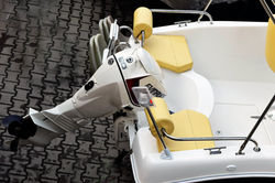 AMS 480 Cruiser2
