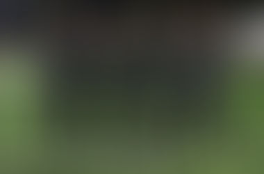 2026シーズン 幹部決定のお知らせ