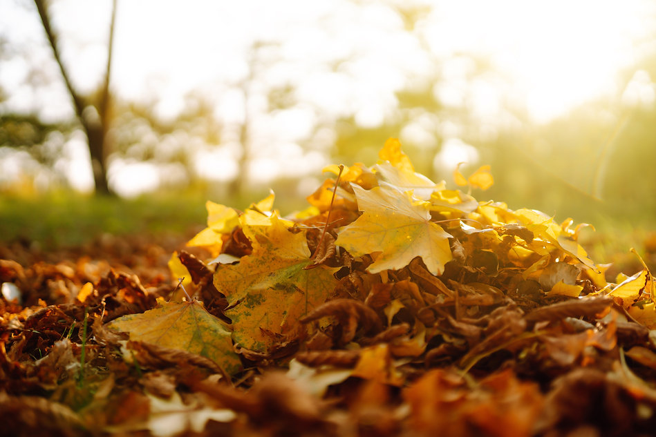 AdobeStock_384683825.jpeg