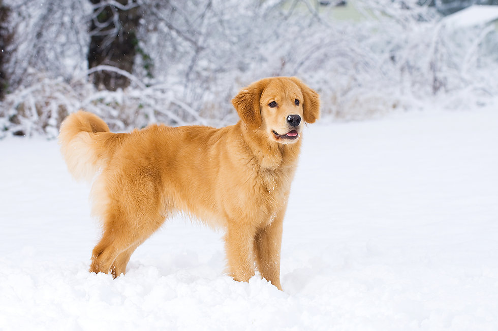AdobeStock_38232178.jpeg