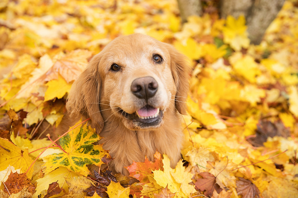 AdobeStock_179909087.jpeg
