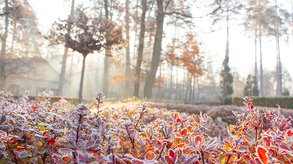 AdobeStock_235310711.jpeg