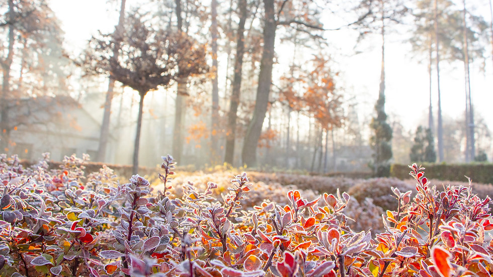 AdobeStock_235310711.jpeg
