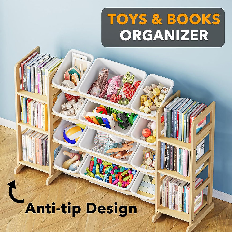 Features of organizer
