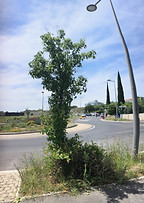IMG_2693.jpeg