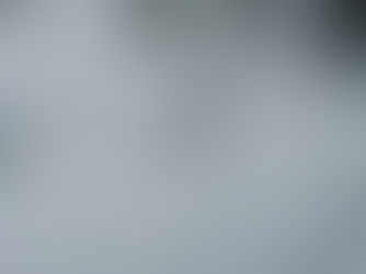 2/19(木)臨時休業です