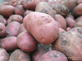 Eat Clean Fruits and Vegetables!