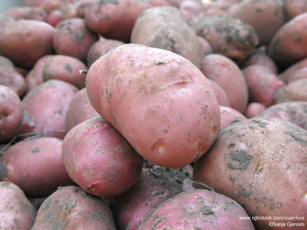 Potatoes