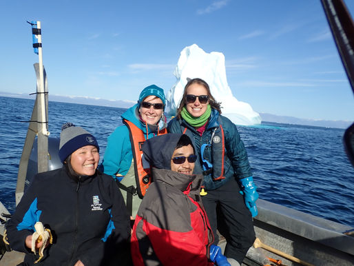 Incoming icebergs!